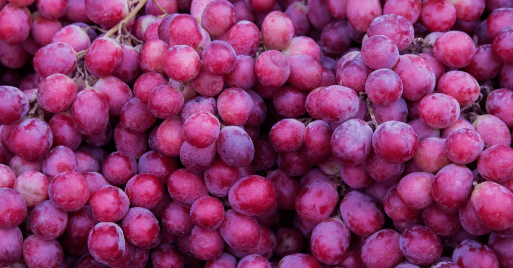 Resveratrol